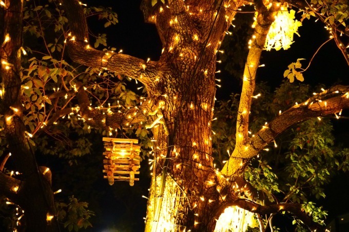 「オモハラ イルミネーション」東急プラザ表参道原宿・屋上テラスで、樹木と灯りの幻想空間｜写真1