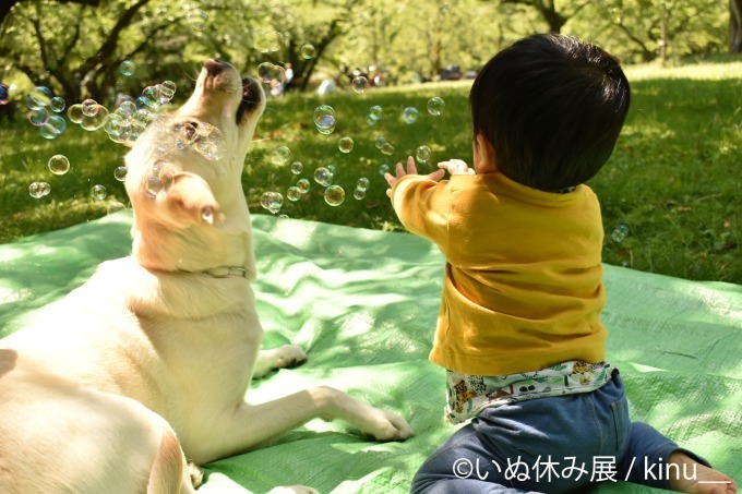 ⽝の合同写真＆物販展「いぬ休み展」が東京・名古屋で初開催、SNSで人気のチワワや柴犬の作品が集結｜写真6