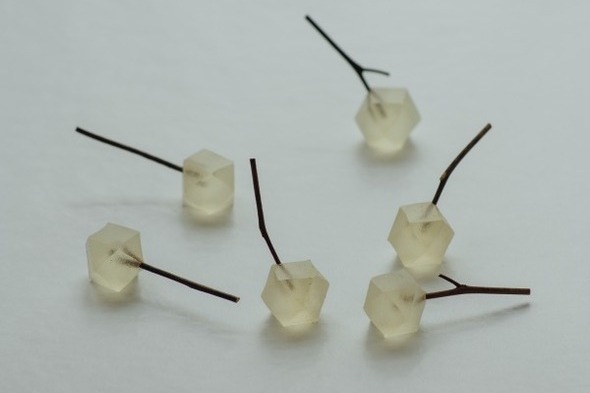 講演会｜「御菓子丸」月に数日しかオープンしない“幻”の和菓子が東京に！エルダーフラワーを閉じ込めた寒天菓子