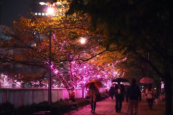 「目黒川みんなのイルミネーション2018」山手線内側最大級、約40万個のLED輝く“冬の桜”が満開に｜写真10