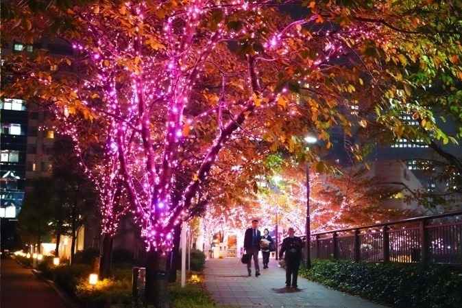 お花見｜「目黒川みんなのイルミネーション2018」山手線内側最大級、約40万個のLED輝く“冬の桜”が満開に