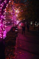 「目黒川みんなのイルミネーション2018」山手線内側最大級、約40万個のLED輝く“冬の桜”が満開に｜写真6