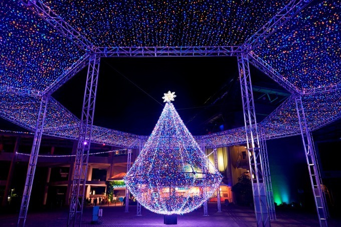 横浜・八景島シーパラダイスのイルミネーション、プロジェクションマッピング＆LED演出のイルカショーも | 写真