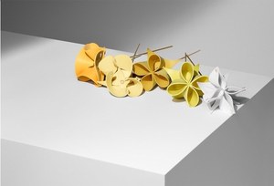 極上美品✨ルイヴィトン レプティ ノマド コレクション フラワー クッション 極上美品✨ルイヴィトン レプティ ノマド コレクション フラワー