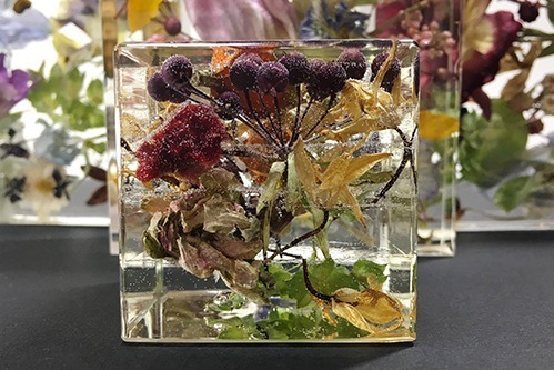 「ボタニカル蚤の市 in ハロウィン」