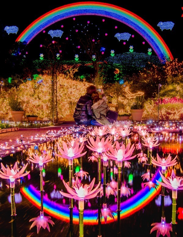 栃木・あしかがフラワーパークのイルミネーション、花畑にかかる虹＆池で輝くピラミッドが初登場｜写真8