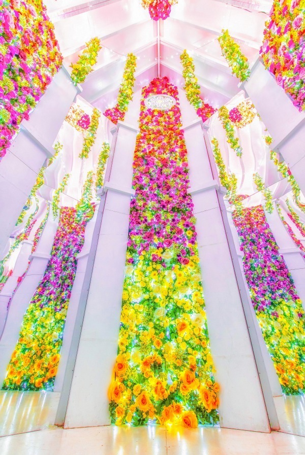栃木・あしかがフラワーパークのイルミネーション、花畑にかかる虹＆池で輝くピラミッドが初登場｜写真11