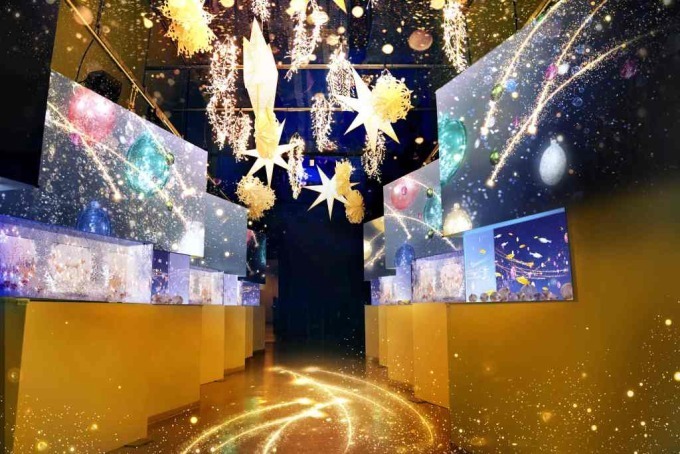 マクセル アクアパーク品川のクリスマス「スターアクアリウム」星空の海が舞台のイルカパフォーマンスなど｜写真3