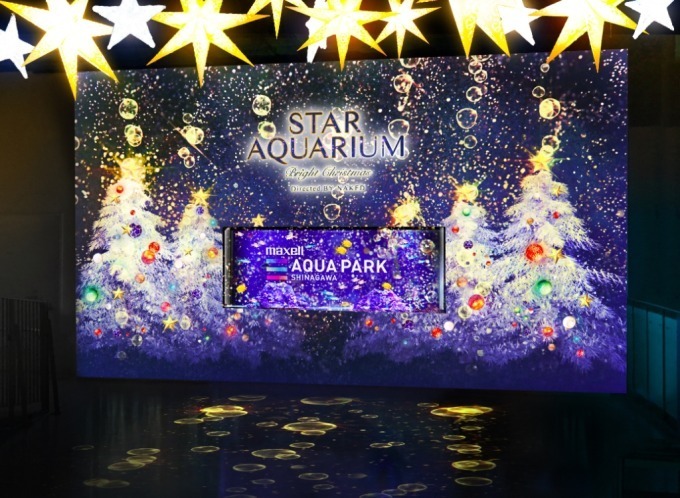 マクセル アクアパーク品川のクリスマス「スターアクアリウム」星空の海が舞台のイルカパフォーマンスなど｜写真2
