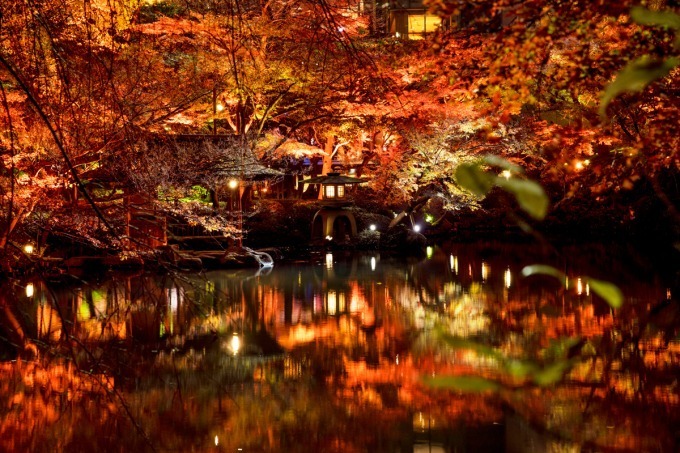 東京・白金台の八芳園、赤に染める秋の紅葉ライトアップ - 庭園内に限定バー＆茶屋もオープン｜写真3