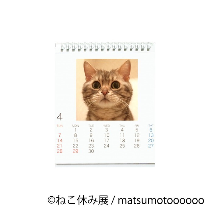 写真展＆物販展「ねこ休み展 in 浦和」浦和パルコで、巨大絵馬展示や新作カレンダー販売も｜写真24