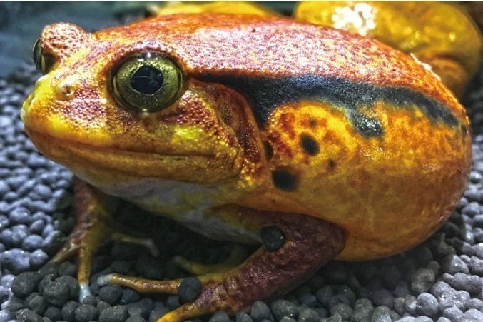 名古屋パルコギャラリー「キモい展リターンズ」