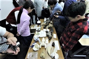 「東京ミネラルショー」池袋サンシャインシティで開催 - 鉱石や化石約100万点の展示・販売など｜写真6