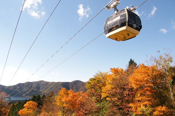 庭園｜【箱根観光】2018紅葉スポット紹介 - 箱根で一番と言われる名所・箱根美術館など