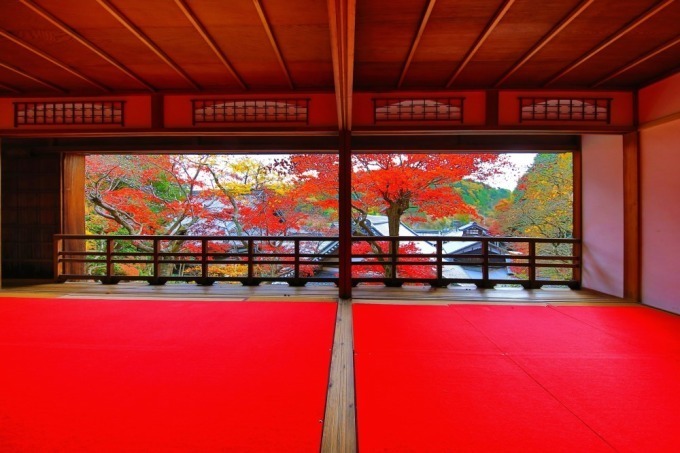 【京都観光】秋の紅葉特集 - 保津川下りや穴場スポット、夜間ライトアップも｜写真8