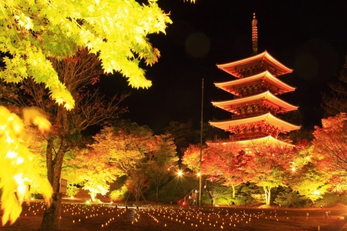 【京都観光】秋の紅葉特集 - 保津川下りや穴場スポット、夜間ライトアップも｜写真1