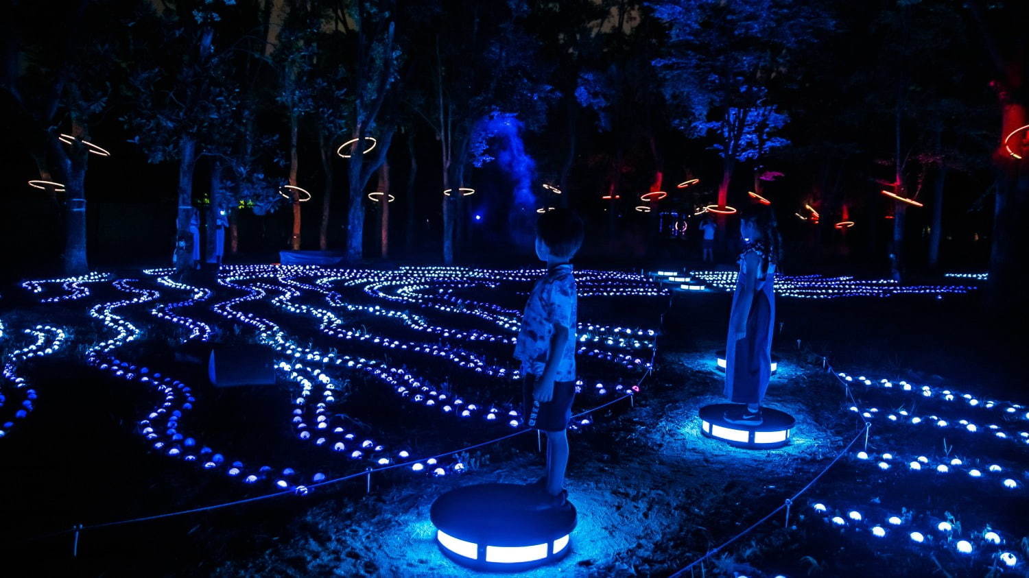 ナイトスポット「サクヤルミナ」大阪城公園に、自然×デジタルアートが輝く夜の森をナイトウォーク｜写真27