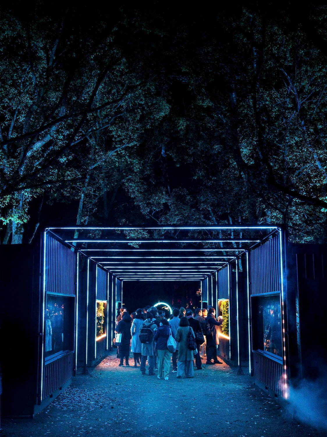 ナイトスポット「サクヤルミナ」大阪城公園に、自然×デジタルアートが輝く夜の森をナイトウォーク｜写真11