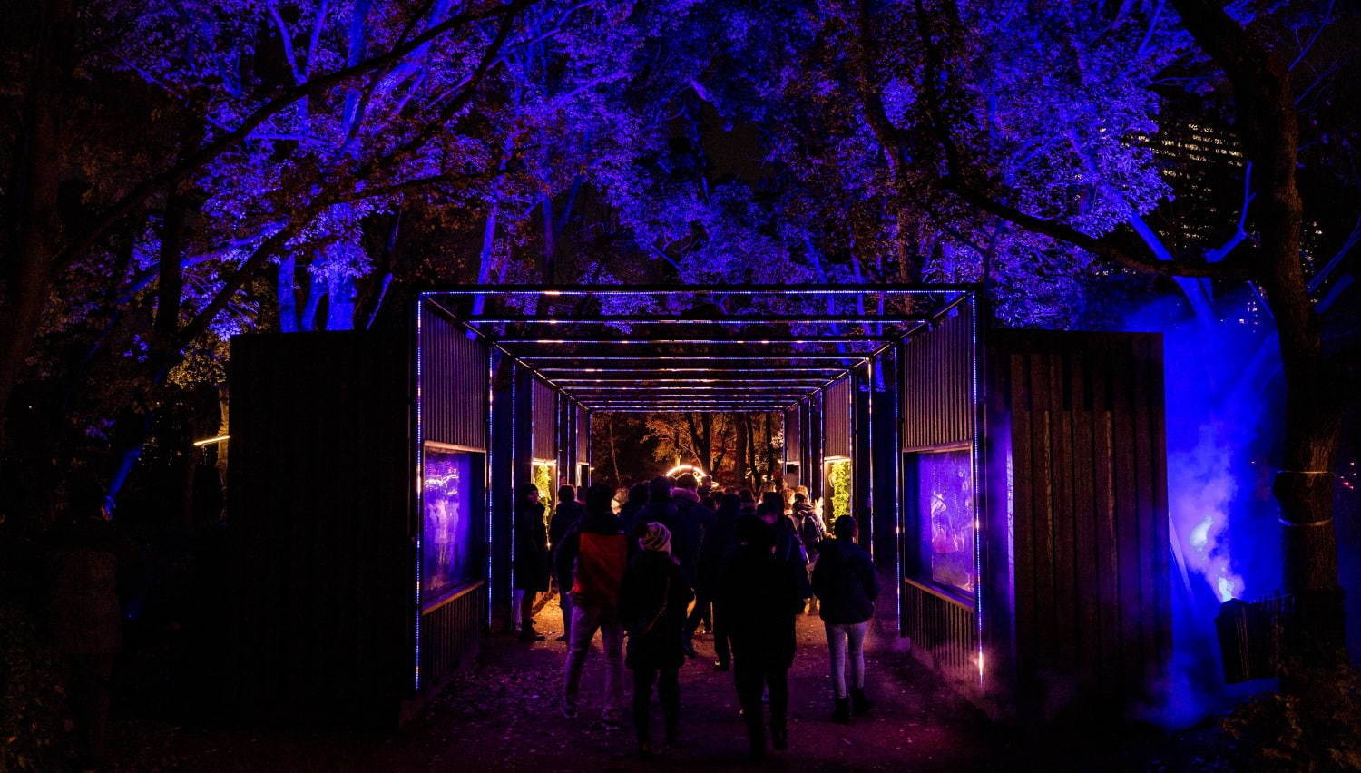 ナイトスポット「サクヤルミナ」大阪城公園に、自然×デジタルアートが輝く夜の森をナイトウォーク｜写真10