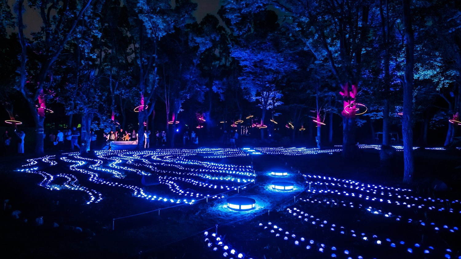 ナイトスポット「サクヤルミナ」大阪城公園に、自然×デジタルアートが輝く夜の森をナイトウォーク｜写真28