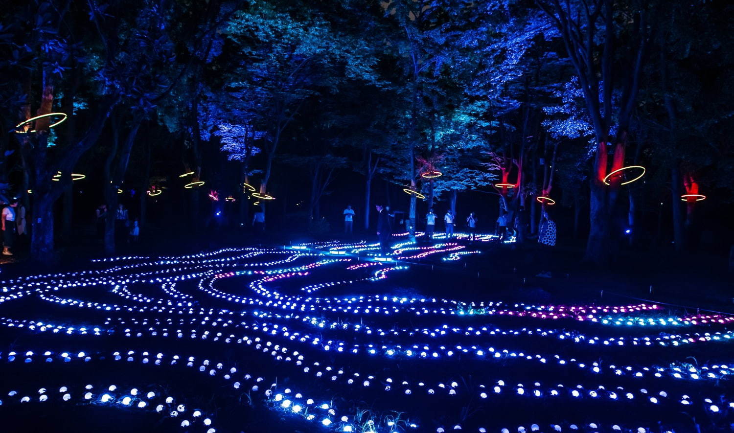 ナイトスポット「サクヤルミナ」大阪城公園に、自然×デジタルアートが輝く夜の森をナイトウォーク｜写真29