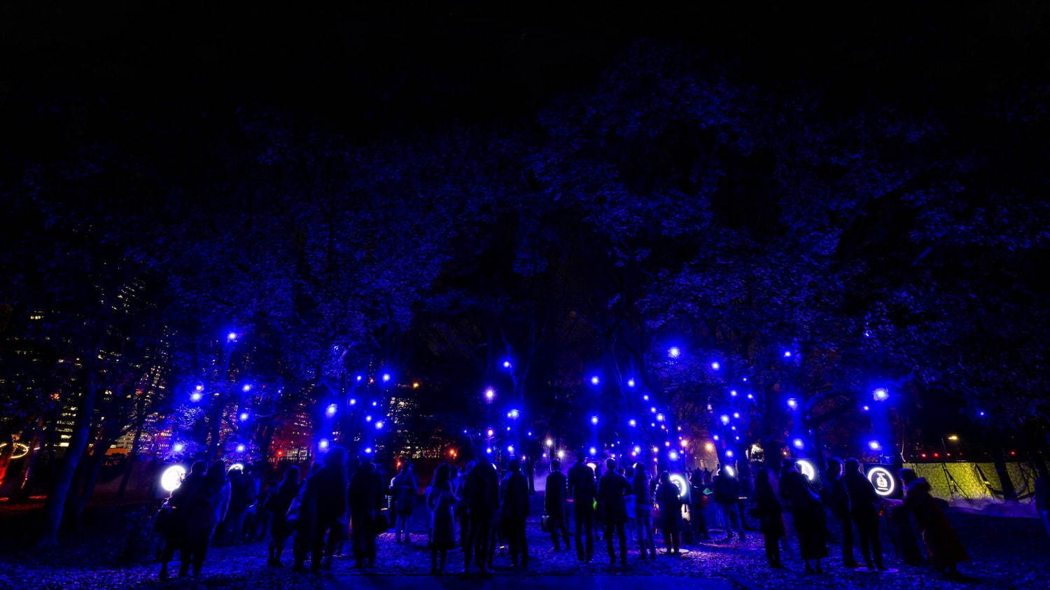 ナイトスポット「サクヤルミナ」大阪城公園に、自然×デジタルアートが輝く夜の森をナイトウォーク｜写真15