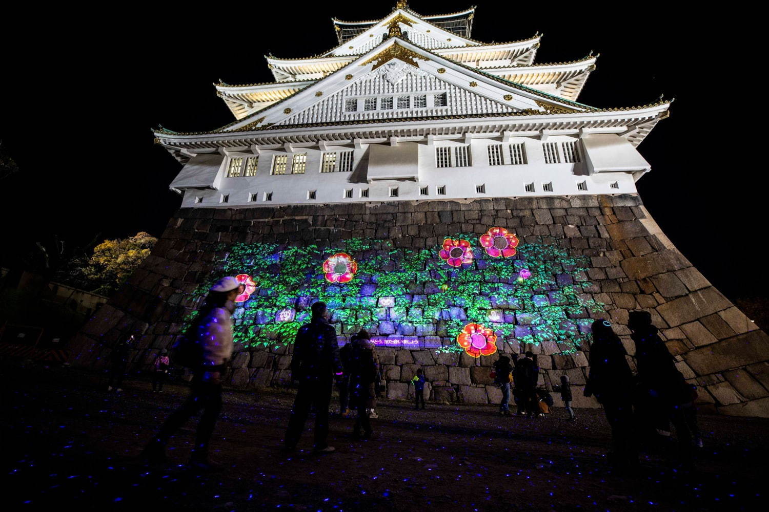 ナイトスポット「サクヤルミナ」大阪城公園に、自然×デジタルアートが輝く夜の森をナイトウォーク | 写真