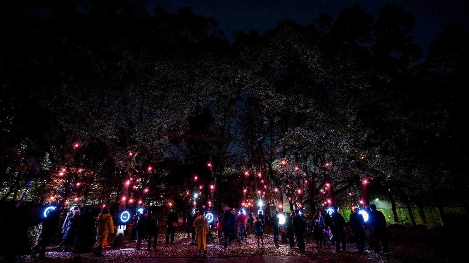 ナイトスポット「サクヤルミナ」大阪城公園に、自然×デジタルアートが輝く夜の森をナイトウォーク｜写真16