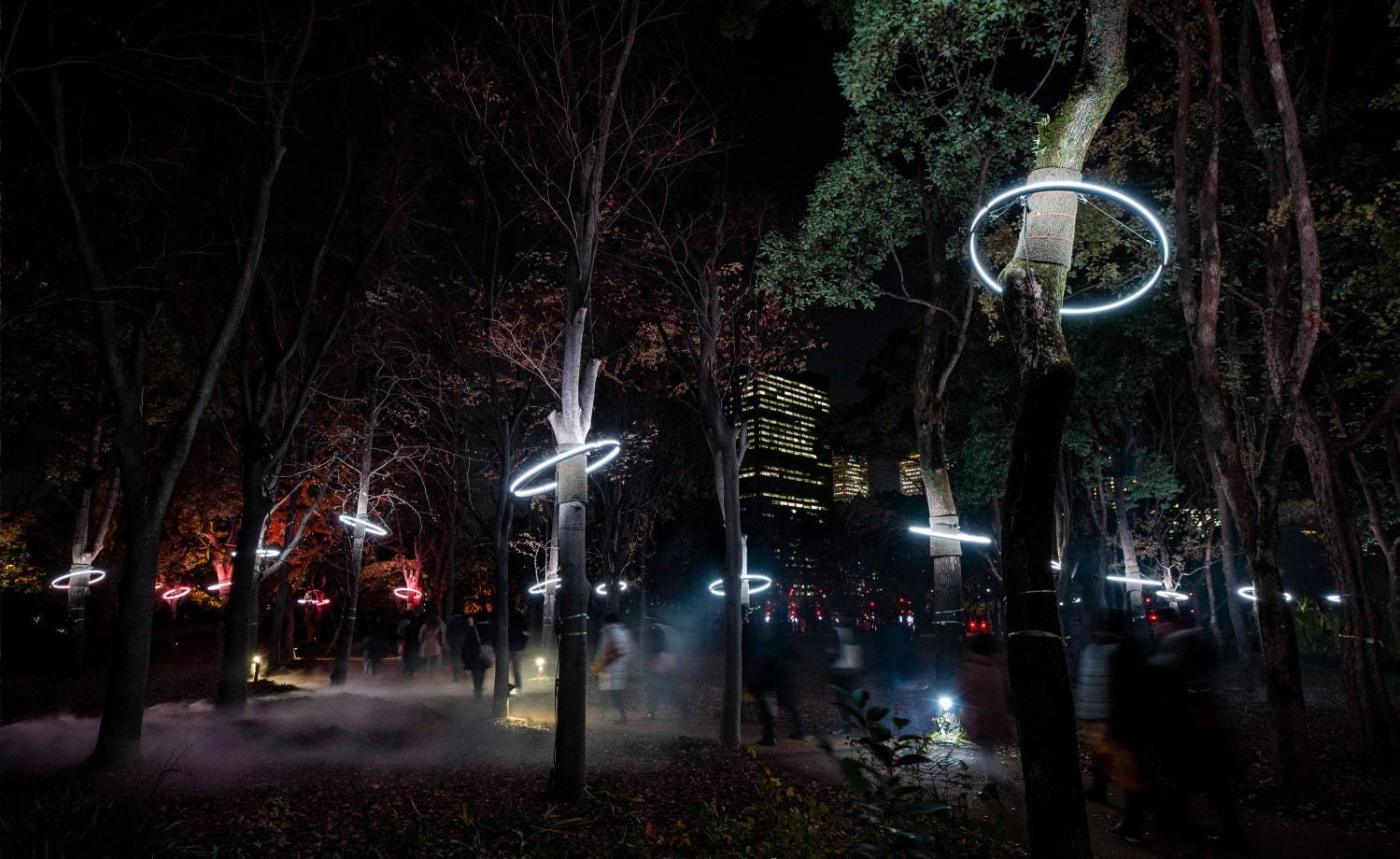 ナイトスポット「サクヤルミナ」大阪城公園に、自然×デジタルアートが輝く夜の森をナイトウォーク｜写真19