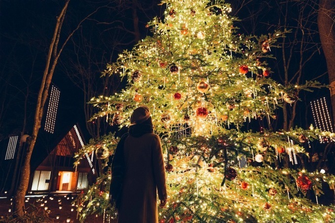 軽井沢高原教会「星降る森のクリスマス 2019」森の中のキャンドルナイト＆巨大クリスマスツリーも｜写真8