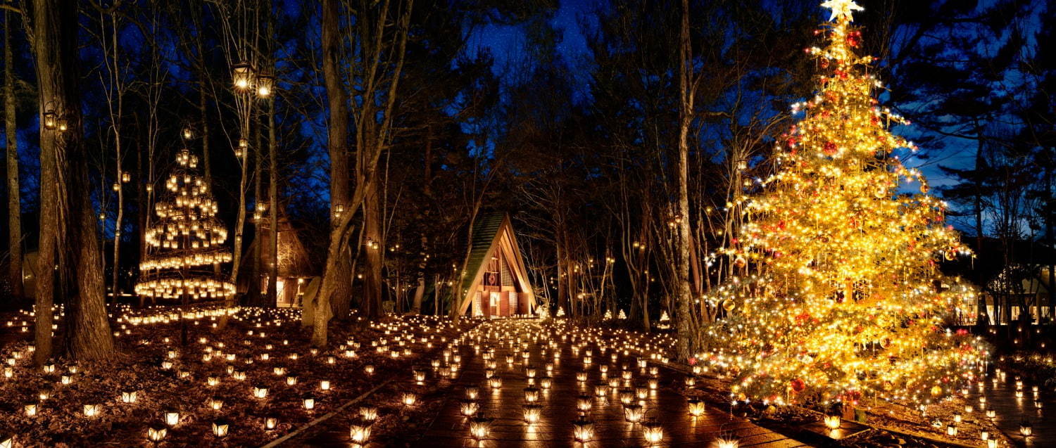 軽井沢高原教会 星降る森のクリスマス 19 森の中のキャンドルナイト 巨大クリスマスツリーも ファッションプレス