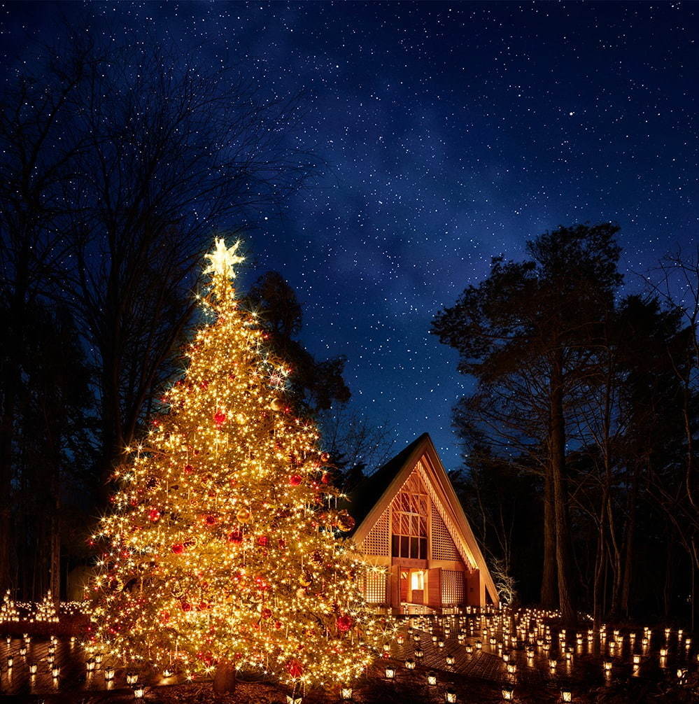 軽井沢高原教会「星降る森のクリスマス 2019」森の中のキャンドルナイト＆巨大クリスマスツリーも｜写真2