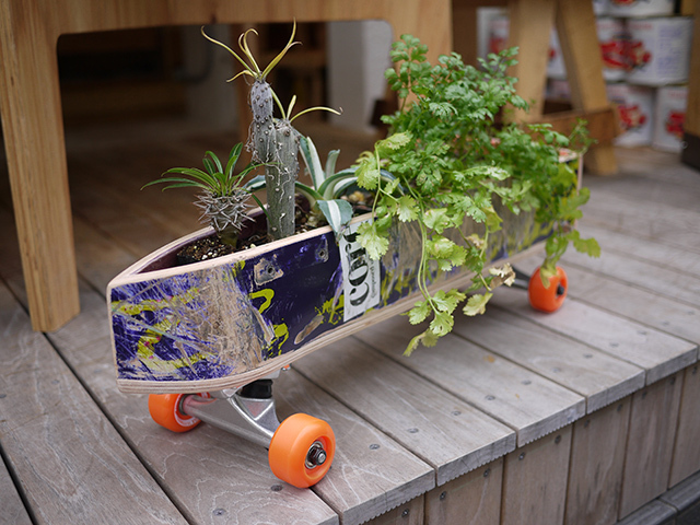 skate planter