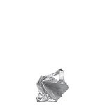 チャコリ(CHACOLI) チャコリ｜写真23