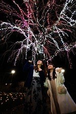 ぐんまフラワーパーク「妖精たちの楽園」100万球が輝くイルミネーション、一夜限りの花火大会も｜写真9
