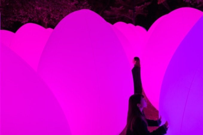 アート展「チームラボ 広島城 光の祭」広島城がインタラクティブな光のアート空間に｜写真7