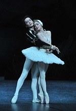 バレエの"美"に迫る展覧会、横浜・そごう美術館で - 『白鳥の湖』舞台美術や衣装など約300点｜写真5