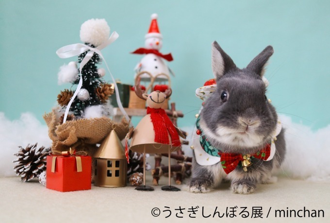 合同写真＆物販展「うさぎしんぼる展 in カレッタ汐留」過去最大250点以上、クリスマス仕様の新作も｜写真5