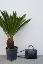 マルニ 2019年リゾートコレクション - パステルカラーも斬新なコンビネーションで｜写真5