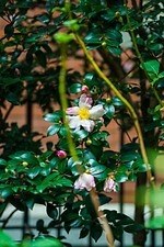 東京・丸の内におでかけ"昼から夜まで”楽しめるアート＆食散歩、冬の風物詩イルミネーションも｜写真16