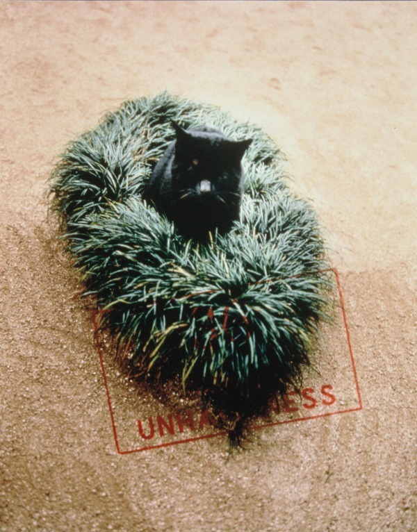 展覧会「ソフィ カル―限局性激痛」 原美術館コレクションより - 失恋の痛みと治癒を写真や文章で表現｜写真9