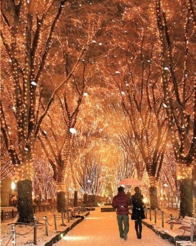 「2018 SENDAI光のページェント」仙台・定禅寺通で - LED約60万球のイルミネーション｜写真9