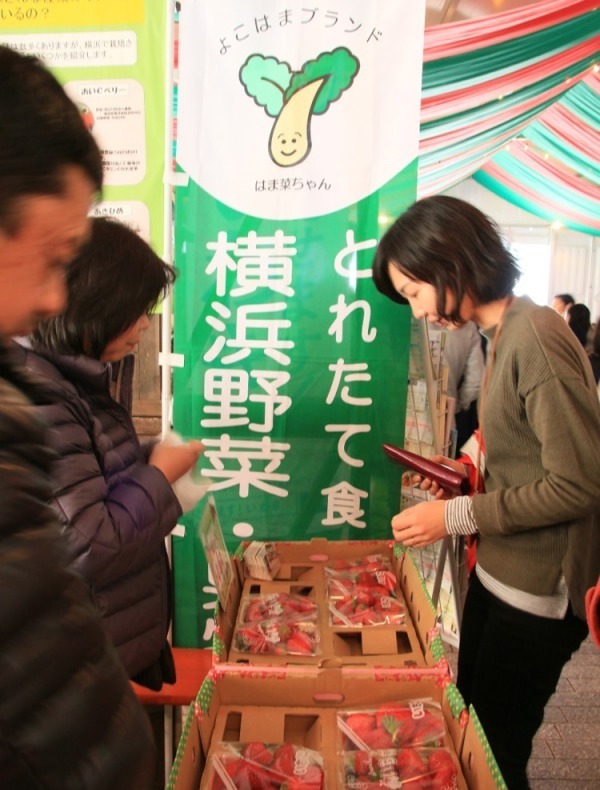 「ヨコハマストロベリーフェスティバル2019」横浜赤レンガ倉庫で - 全国のいちごを無料で配布｜写真28
