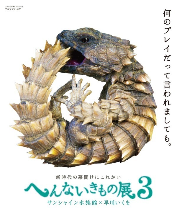 サンシャイン水族館の特別展「へんないきもの展3」見た目・生き様・模様、様々な“変”を紹介｜写真16