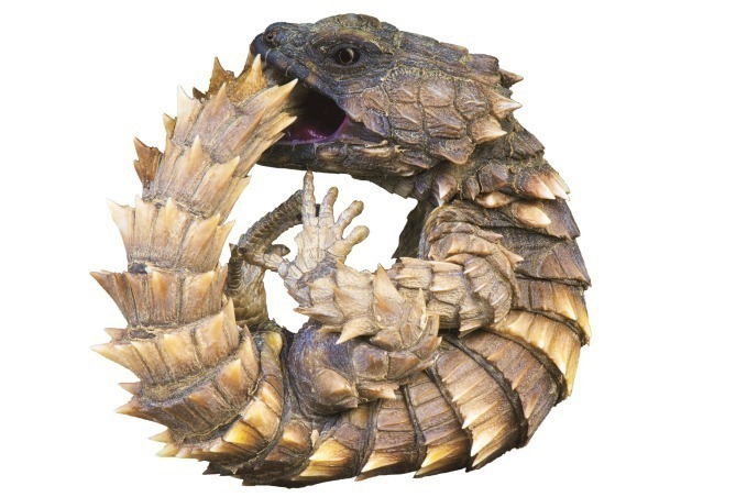 「へんないきもの展3」