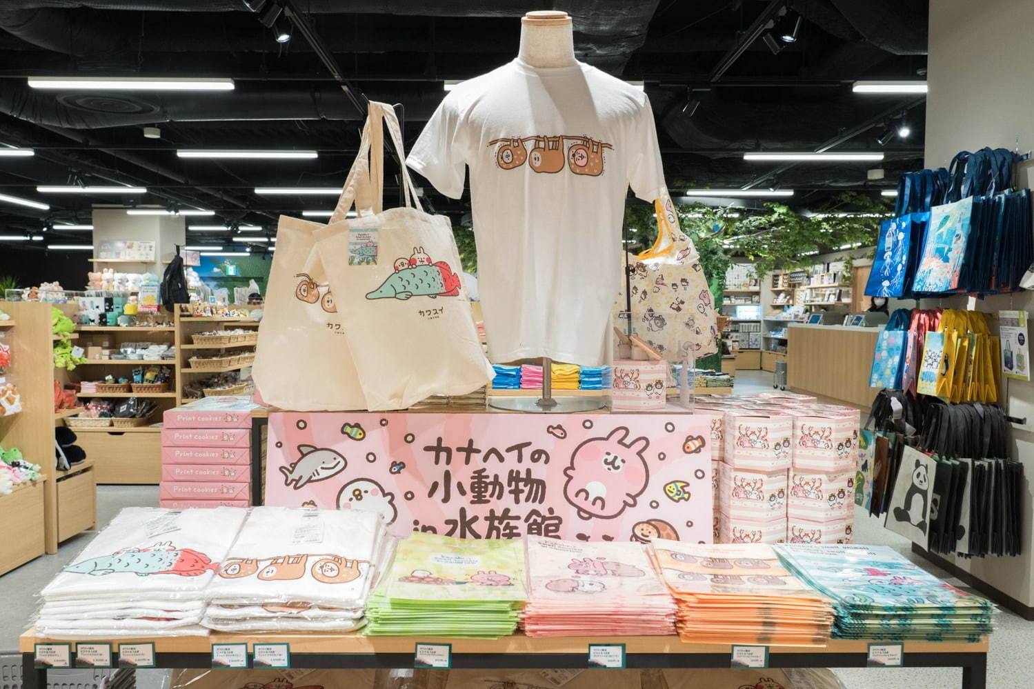 「カワスイ 川崎水族館」日本初！駅前商業施設内の水族館が「川崎ルフロン」に、カフェ＆レストランも充実｜写真55