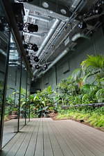 「カワスイ 川崎水族館」日本初！駅前商業施設内の水族館が「川崎ルフロン」に、カフェ＆レストランも充実｜写真32