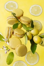 ピエール・エルメ・パリ(PIERRE HERMÉ PARIS) 好きでたまらなくなる｜写真1