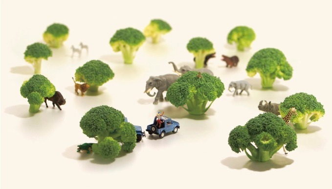 田中達也 Miniature Life展 玉川高島屋で 写真 ミニチュア作品約1点展示 ファッションプレス 田中達也 Miniature Life展 玉川高島屋で 写真 ミニチュア作品約1点展示 ファッションプレス