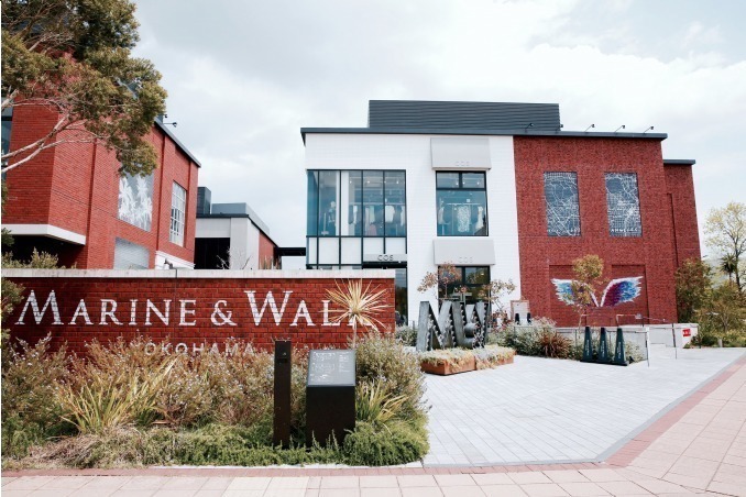 横浜「マリン アンド ウォーク」最大90％オフの冬セール、ロンハーマンやCOSなど人気店が参加